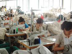 Weihai Mingchen Textile Co., Ltd.